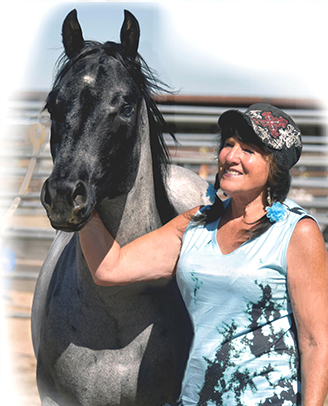  Doc's Dark Star Chesnut Homozygous Chesnut APHA Stallion Ackerman's Breeding Center Donna Ackerman